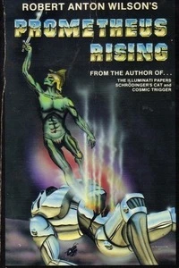 Cover of Prometheus Rising