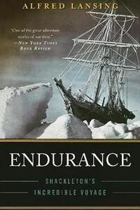 Cover of Endurance