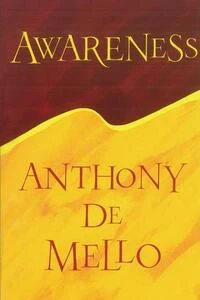 Cover of Awareness