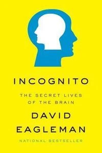 Cover of Incognito